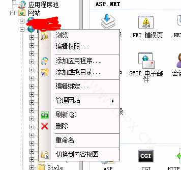IIS多个协议 显示一个问号如何修复？