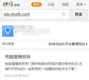 如何在电脑上查询神马搜索的收录情况?