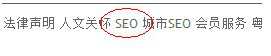 什么是次导航