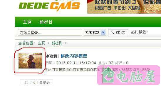 织梦编辑页面添加变量(织梦内容模型自定义字