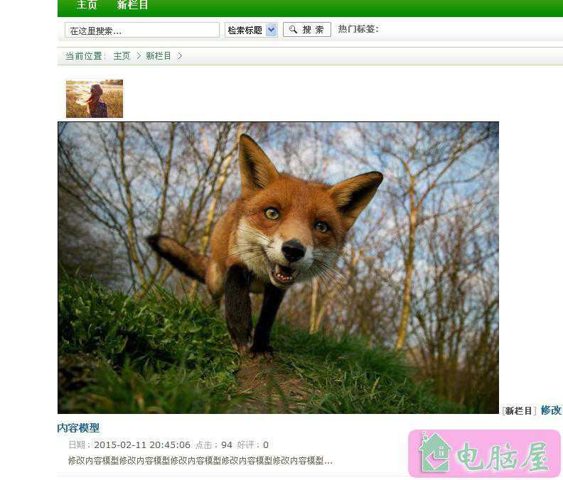 织梦编辑页面添加变量(织梦内容模型自定义字