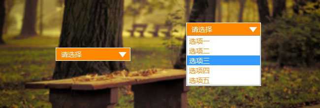 CSS自定义select下拉选择框兼容多数浏览器